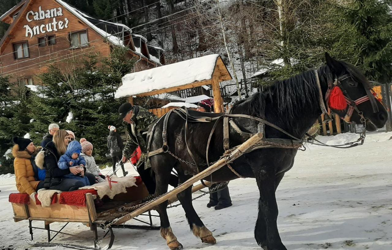 Cabana Ancutei Rucăr Kültér fotó