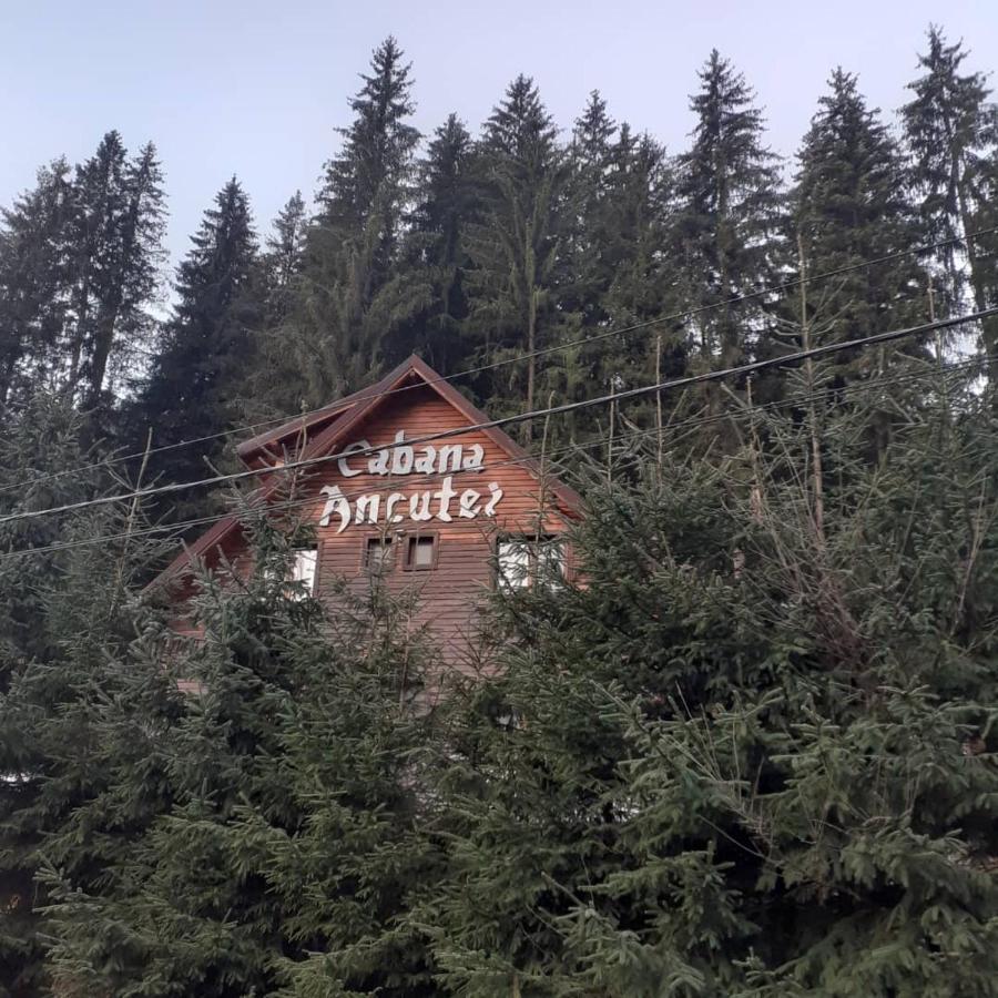 Cabana Ancutei Rucăr Kültér fotó