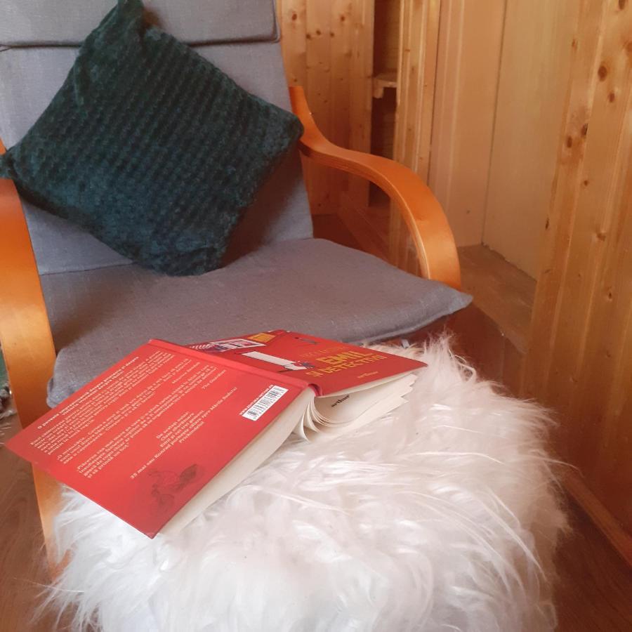 Cabana Ancutei Rucăr Kültér fotó