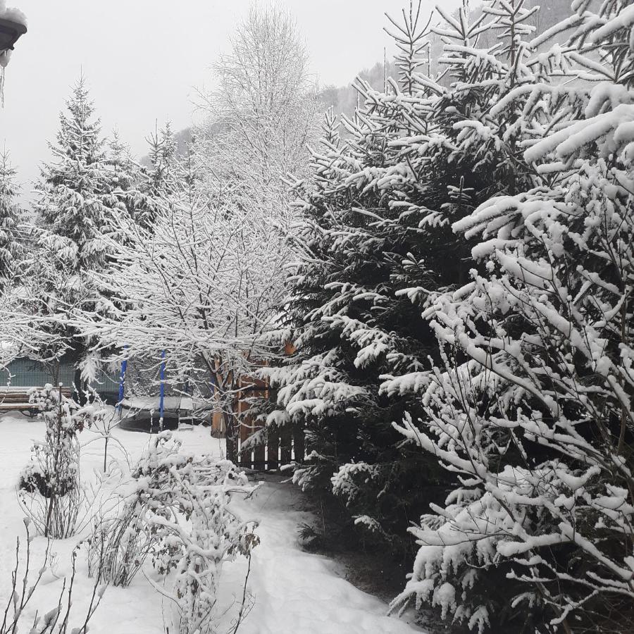 Cabana Ancutei Rucăr Kültér fotó