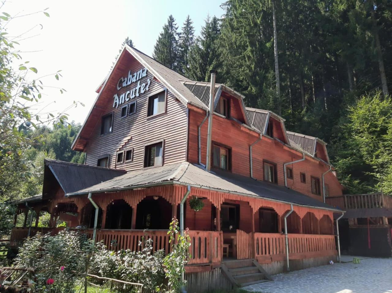 Cabana Ancutei Rucăr Kültér fotó