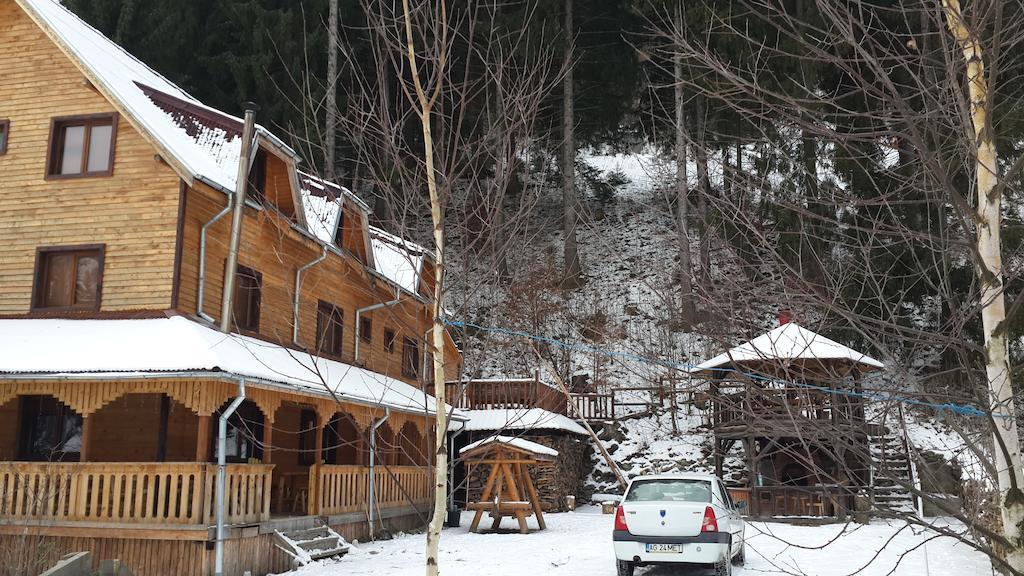 Cabana Ancutei Rucăr Kültér fotó