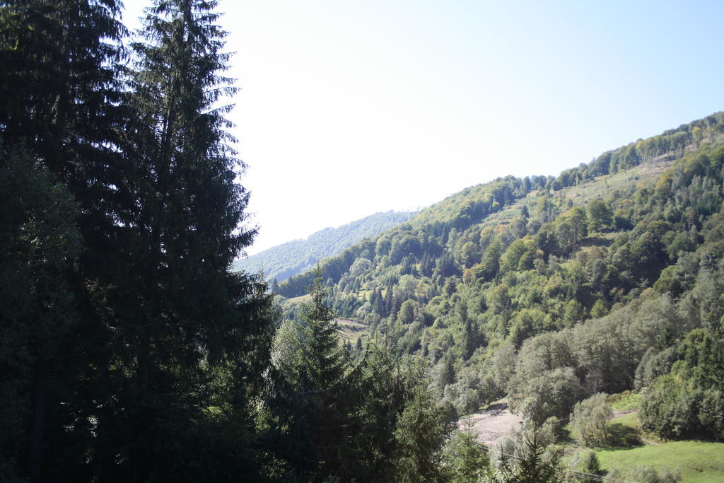 Cabana Ancutei Rucăr Kültér fotó