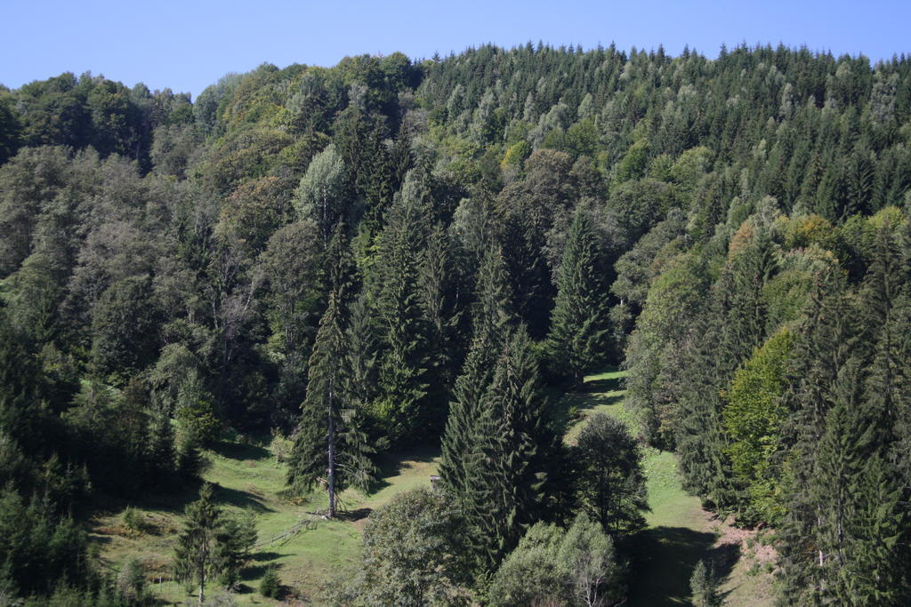 Cabana Ancutei Rucăr Kültér fotó