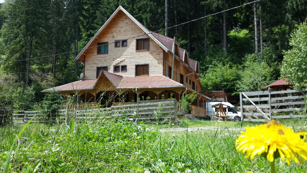 Cabana Ancutei Rucăr Kültér fotó