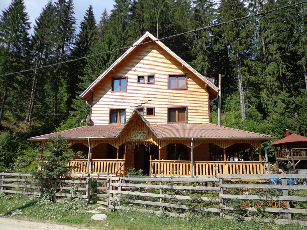 Cabana Ancutei Rucăr Kültér fotó