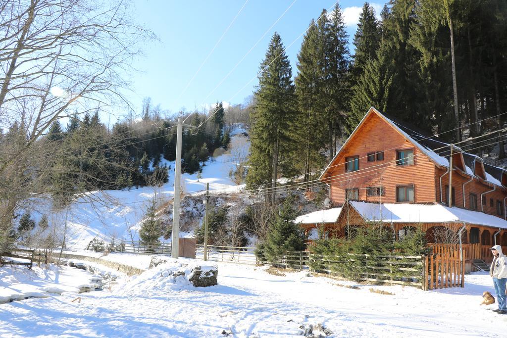 Cabana Ancutei Rucăr Kültér fotó