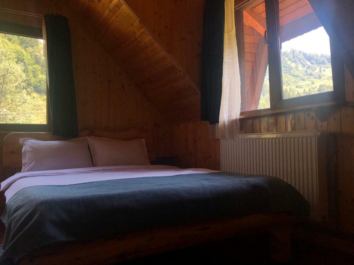 Cabana Ancutei Rucăr Kültér fotó